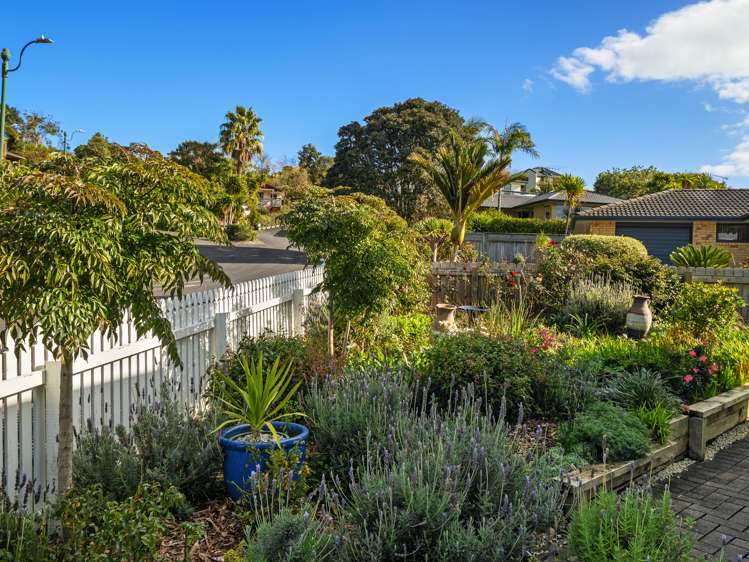 2 Kassa Rise Helensville_21