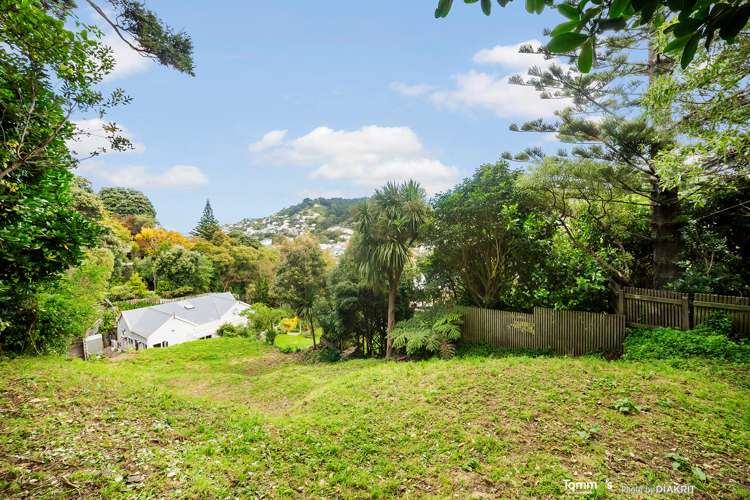 3A Busaco Road Hataitai_0