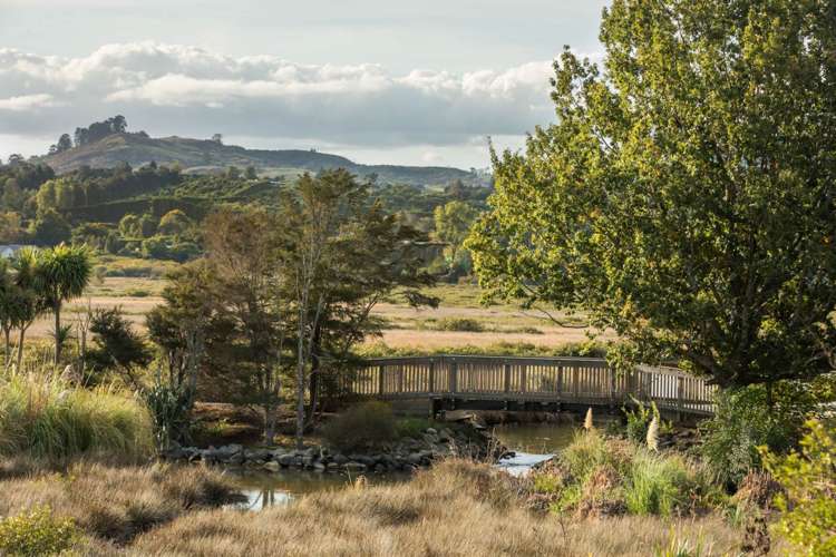 21 Riverside Place Katikati_42