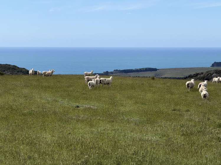 125 Sawmill Road Taieri Beach_13