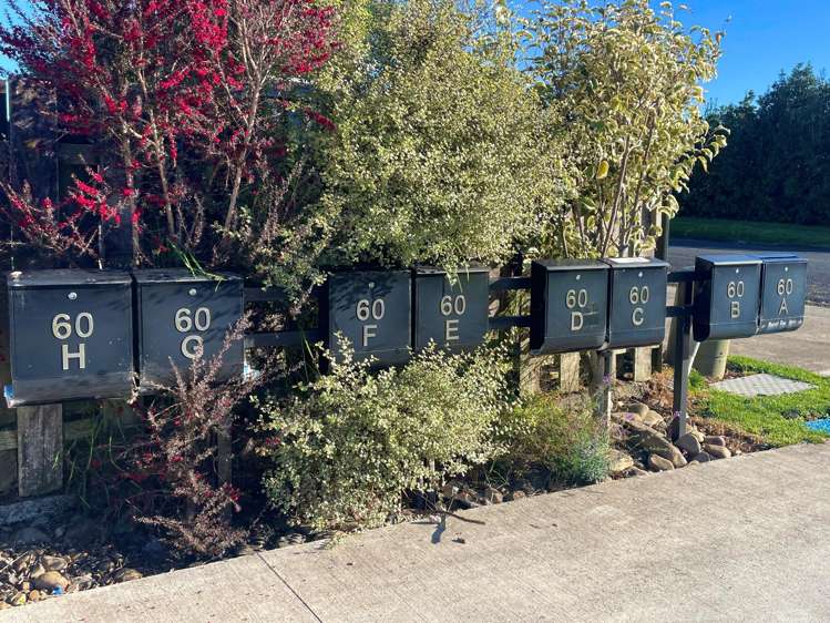 60 Jellicoe Avenue_4