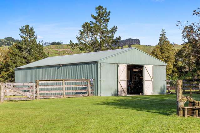 11 Guy Road Kaipara Flats_3