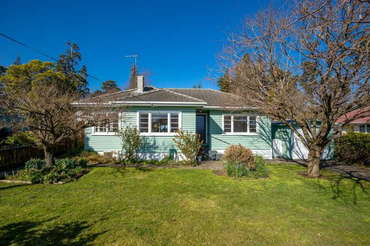 17 Suter Street Stoke_20