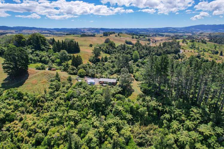 369 Honikiwi Road Otorohanga_5