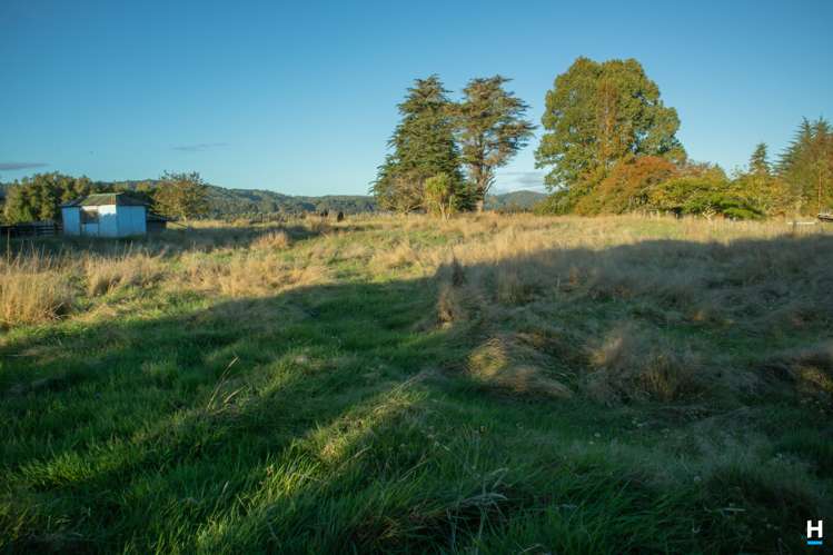 829 Nelson Creek Road Hochstetter_27