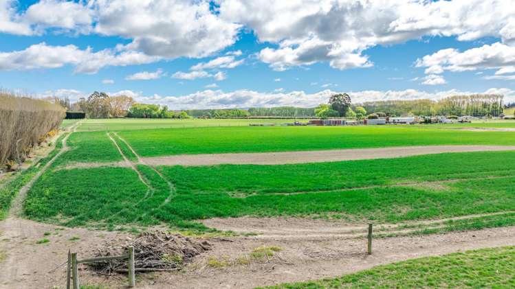 8 Barretts Road Seadown_11