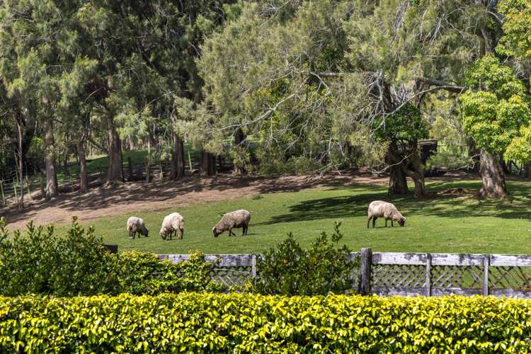 315 Muriwai Road Waimauku_9