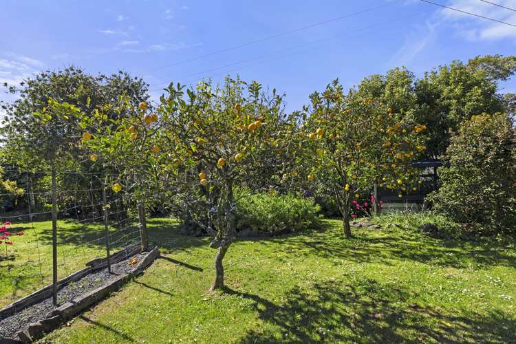 6 Upper Wainui Road Raglan_35