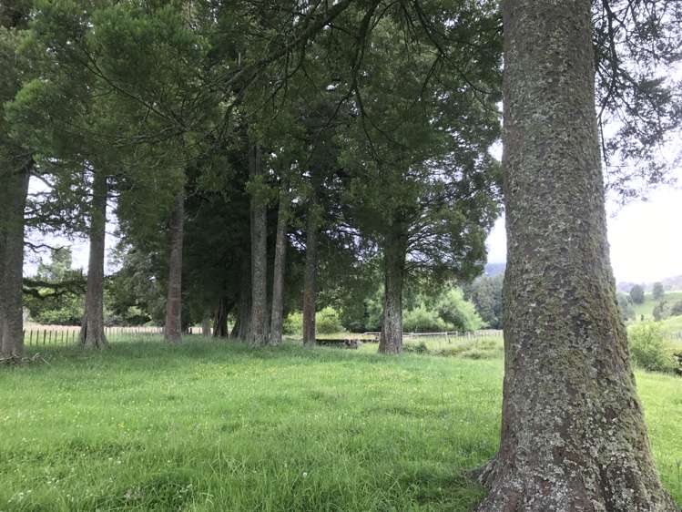 2801 State Highway 4 Aria_8