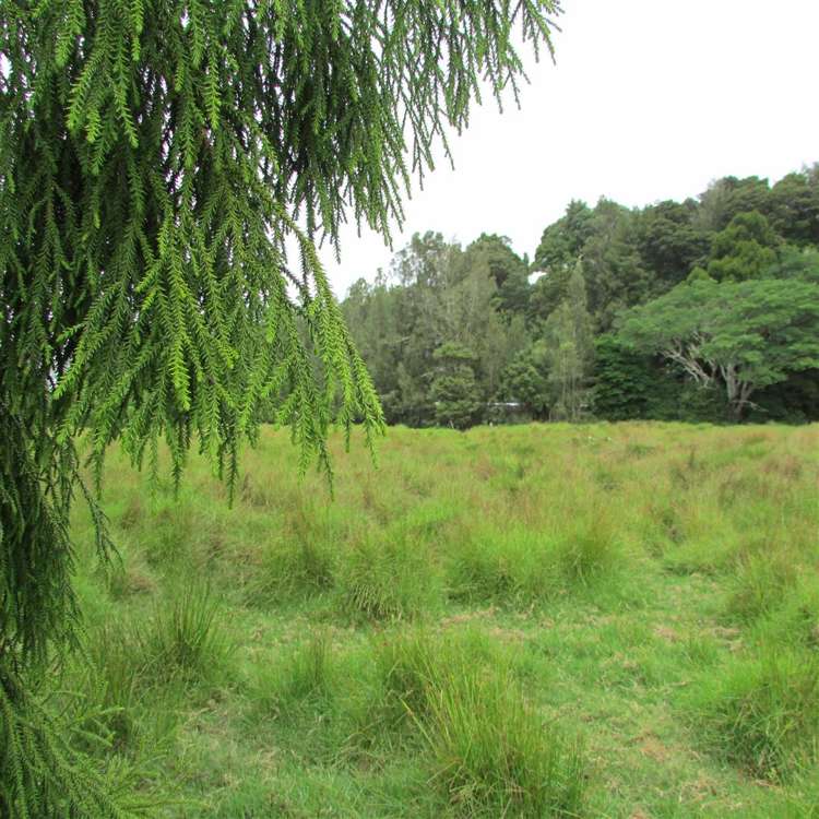 303 Totara North Road Kaeo_11