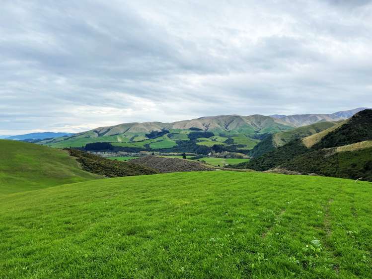 280 Sowerby Road Mesopotamia_4