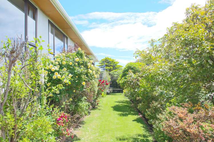 46 Walker Street Bluff_12