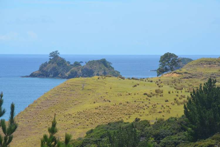 638 Whangaruru North Road Russell Surrounds_5