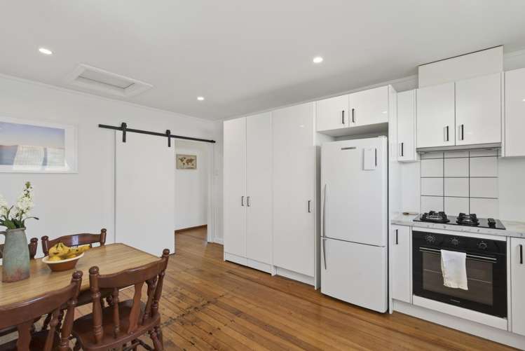 4 Raleigh Street Vogeltown_8