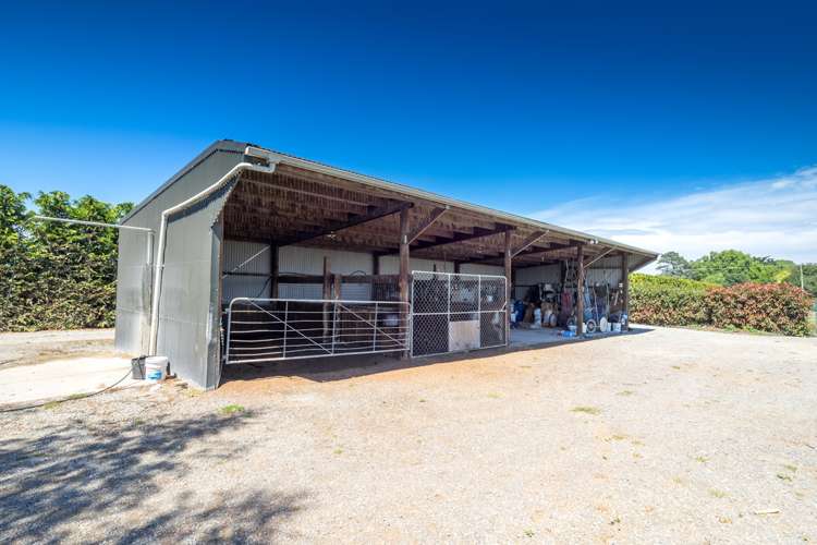 66 Hollands Road Tinwald_15