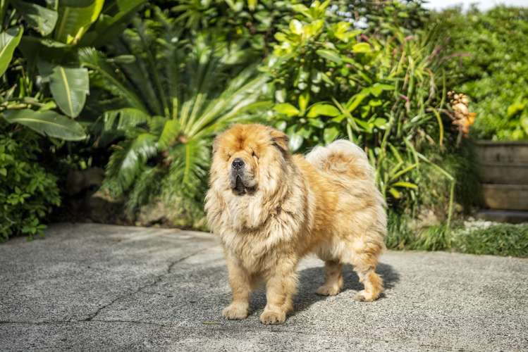 1/42 Titoki Street Te Atatu Peninsula_3