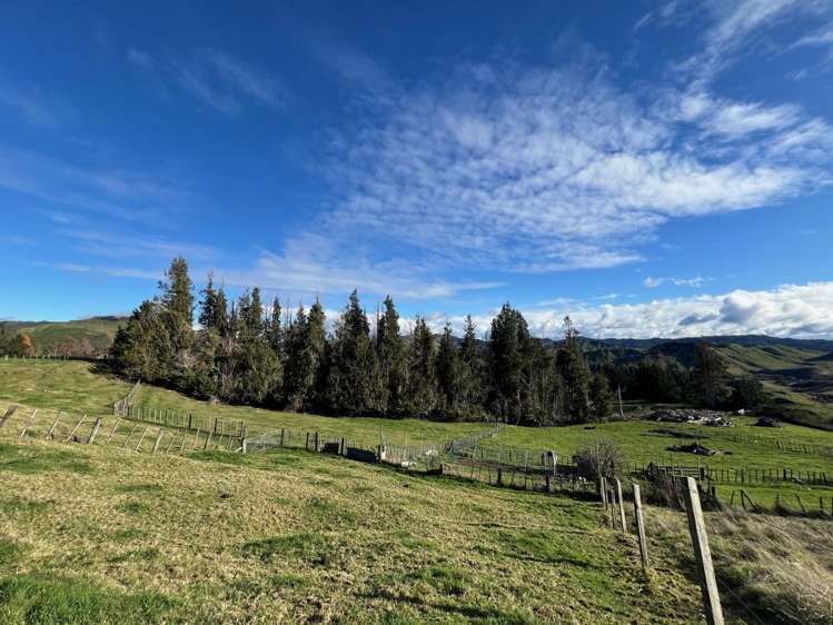 26 Hukaroa Road Raetihi_8