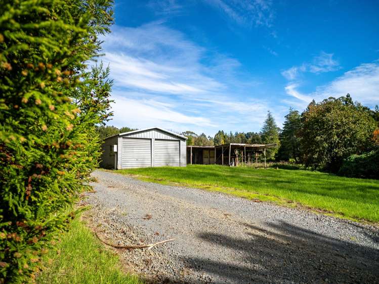 75 Riddell Road Kerikeri_10