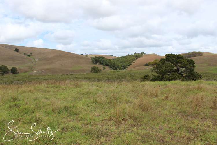 215c Heatley Road Whakapirau_23