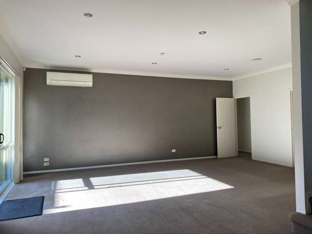 213 Jeffs Road Flat Bush_2