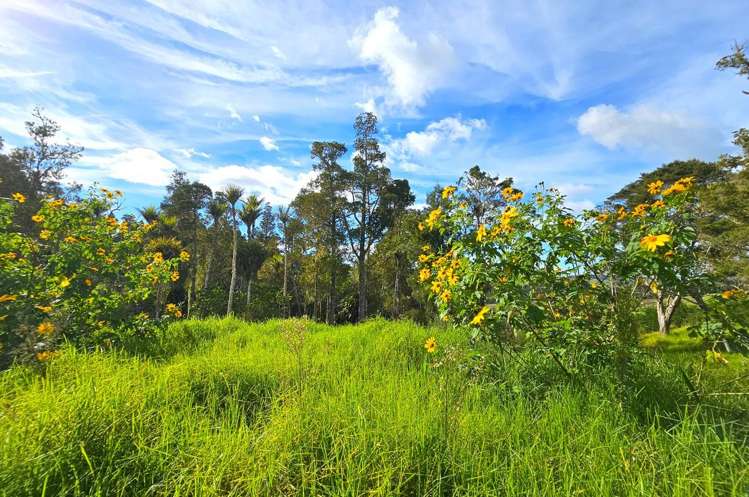 Lot lot 2 Koutu Loop Road Opononi_16