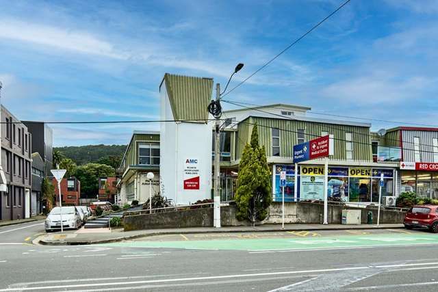 Established Healthcare Investment