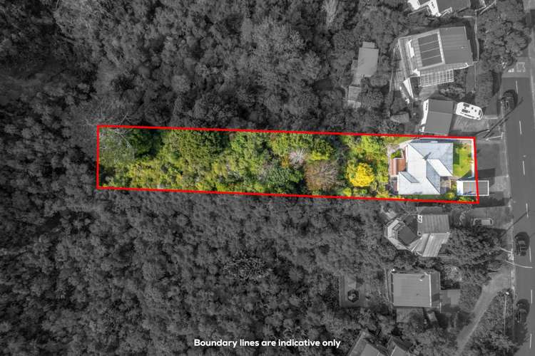 46 Goodall Street Hillsborough_18