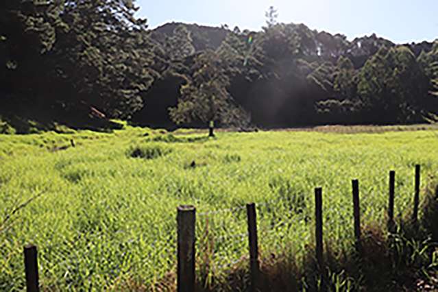 163 and 165 Tapu Coroglen Road Tapu_3