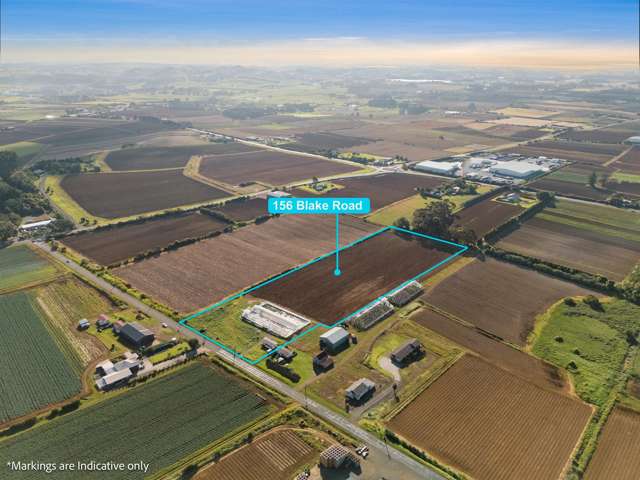 156 Blake Road Pukekohe East_2