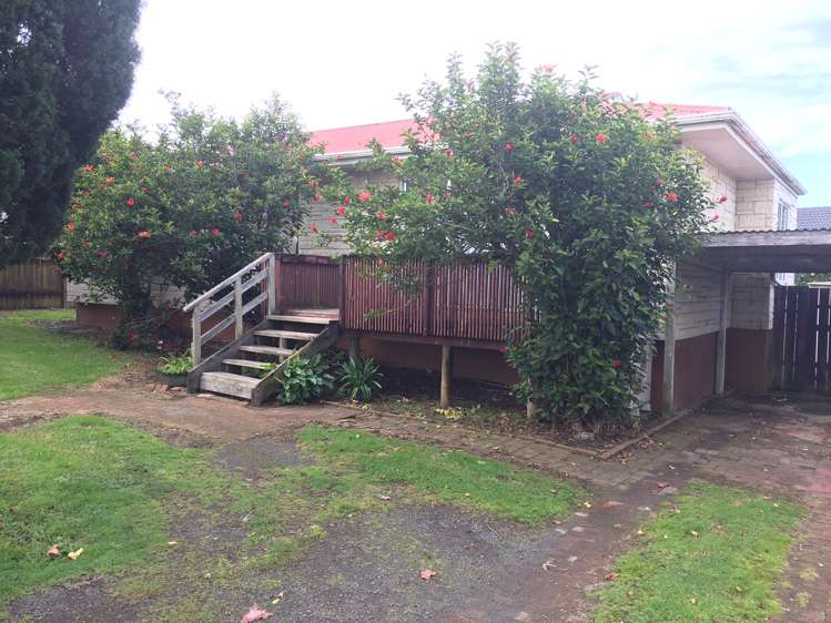 34 Finlayson Avenue Clendon Park_0