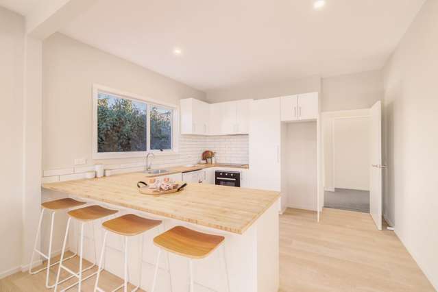 93 Randolph Street Woolston_3