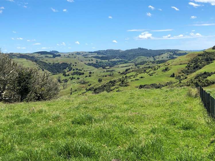 Lot 3 DP539905 Dill Road Kaipara Flats_3