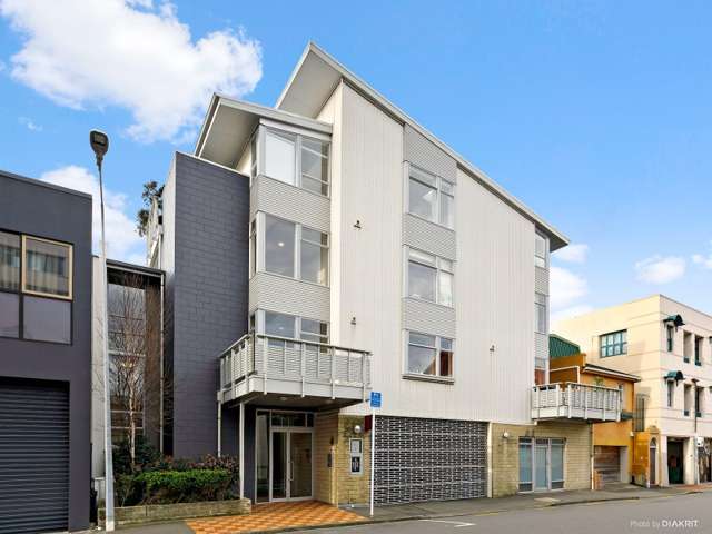 2/4 Frederick Street Te Aro_1