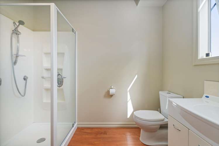 294 Albert Street Coromandel_28