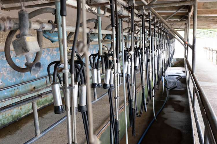 136 Simpkin Road Ruawai_6