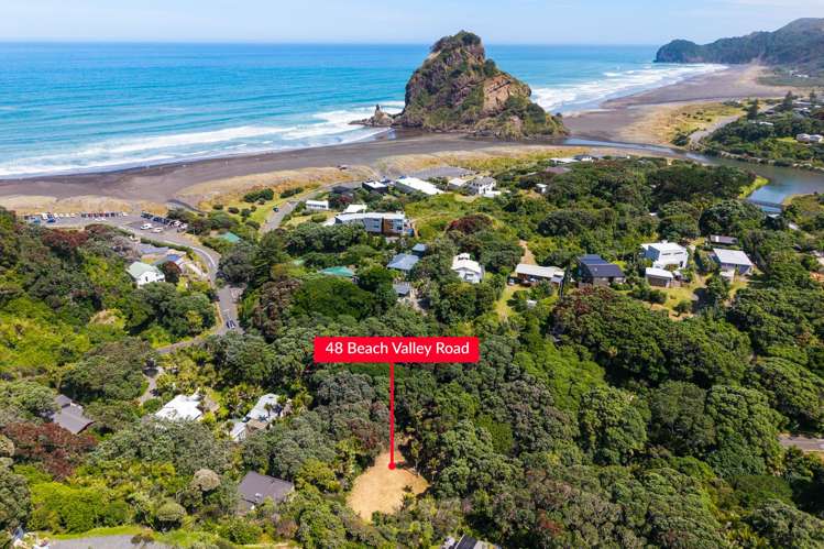 48 Beach Valley Road Piha_2