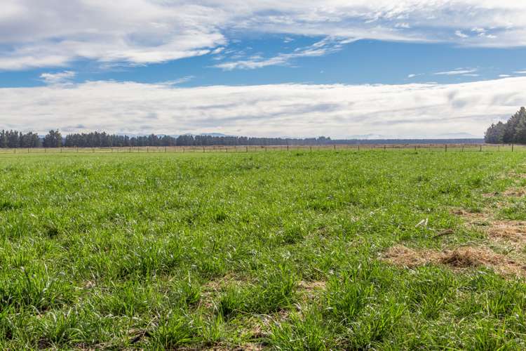 262 Chattertons Road McLeans Island_25