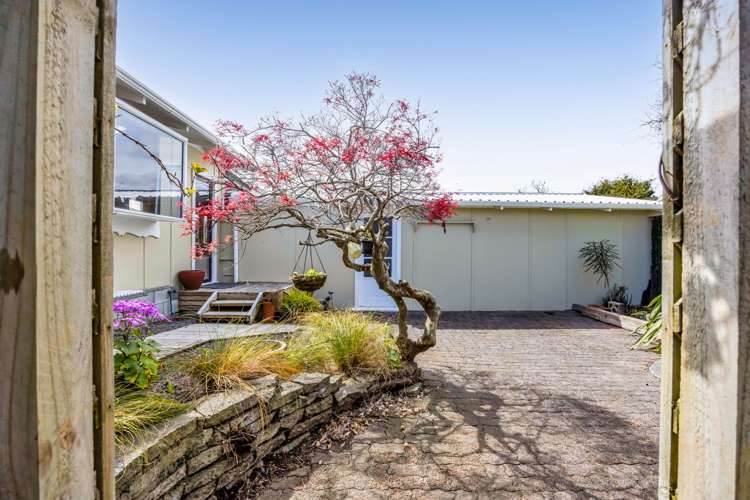 3a Ropata Street Hawera_23
