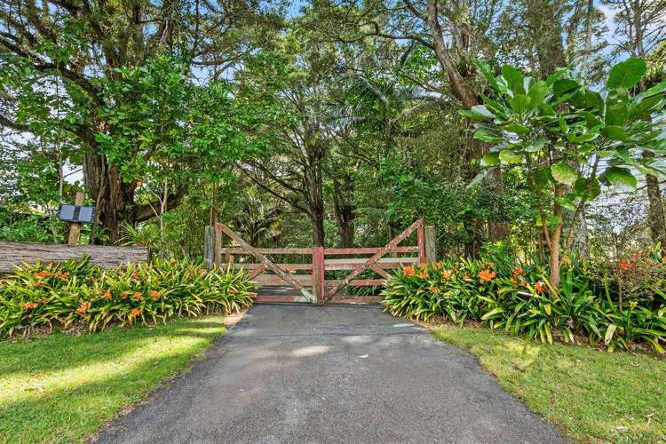 10 Waitaua Road Kauri_16