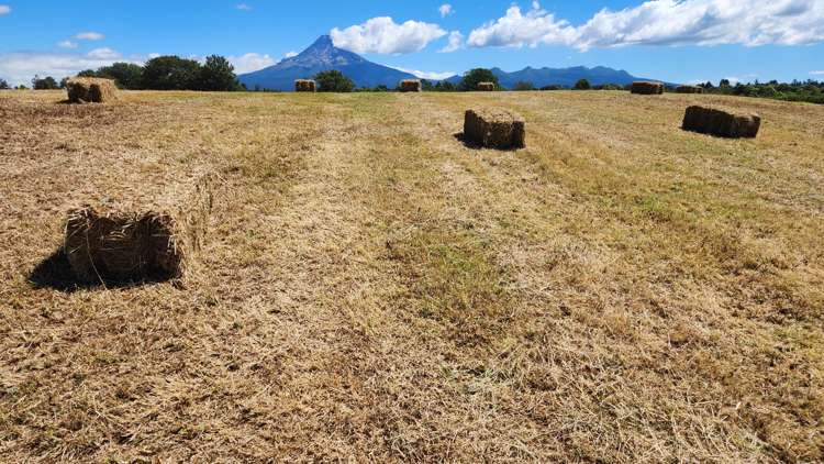 Lot 2 Dudley Road Upper Inglewood_1