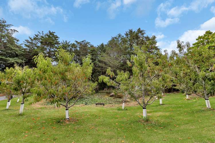 449 Cemetery Road Maunu_23