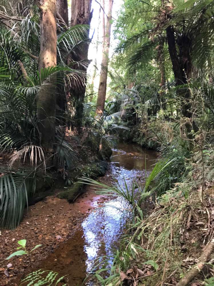 3331 Waiare Road Kaeo_9