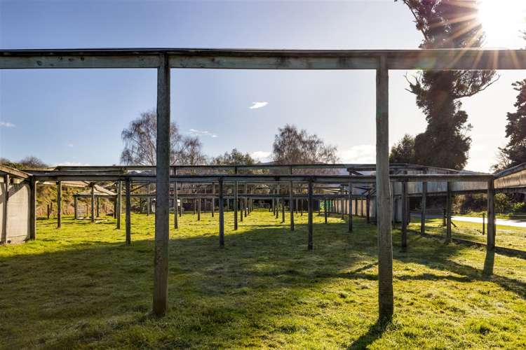 144 Blind Creek Road Tuamarina_36