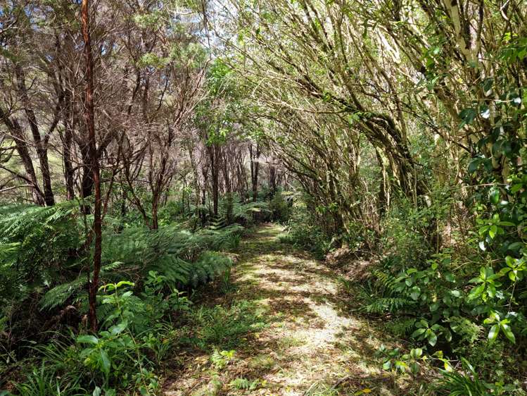 1552 Takaka-Collingwood Highway Parapara_34