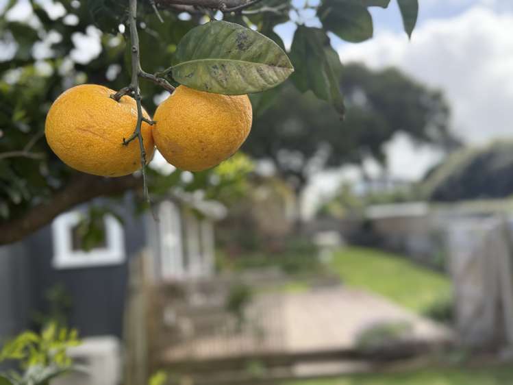 14b Toi Street Otaki Beach_17