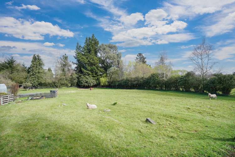 119 Flora Road Lumsden_15