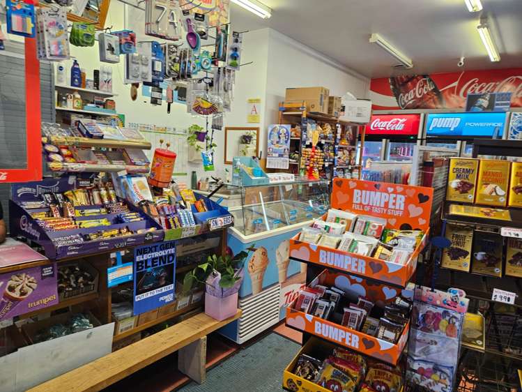 63 Williamson Avenue Grey Lynn_6