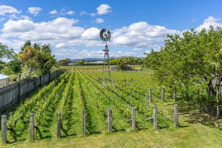 35a New York Street Martinborough_18