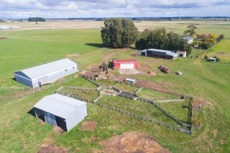 63b Sligo Terrace Roslyn_3