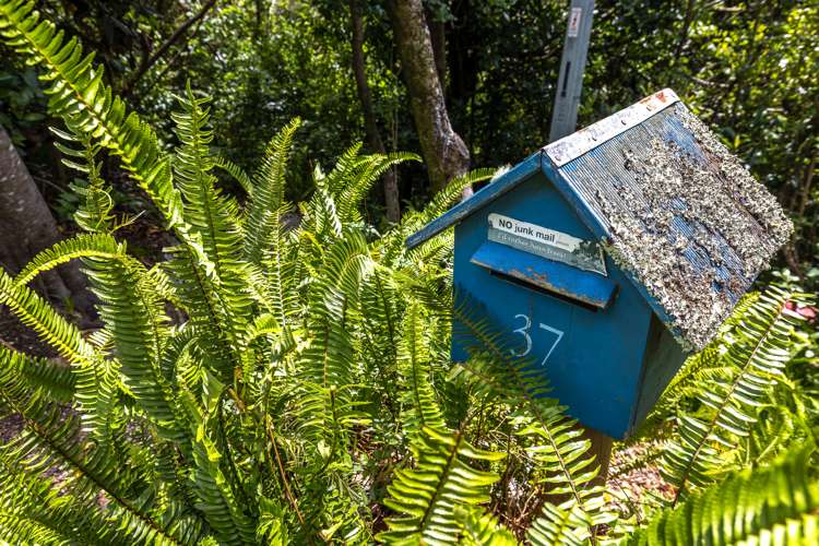 37 Hill Road Palm Beach_21